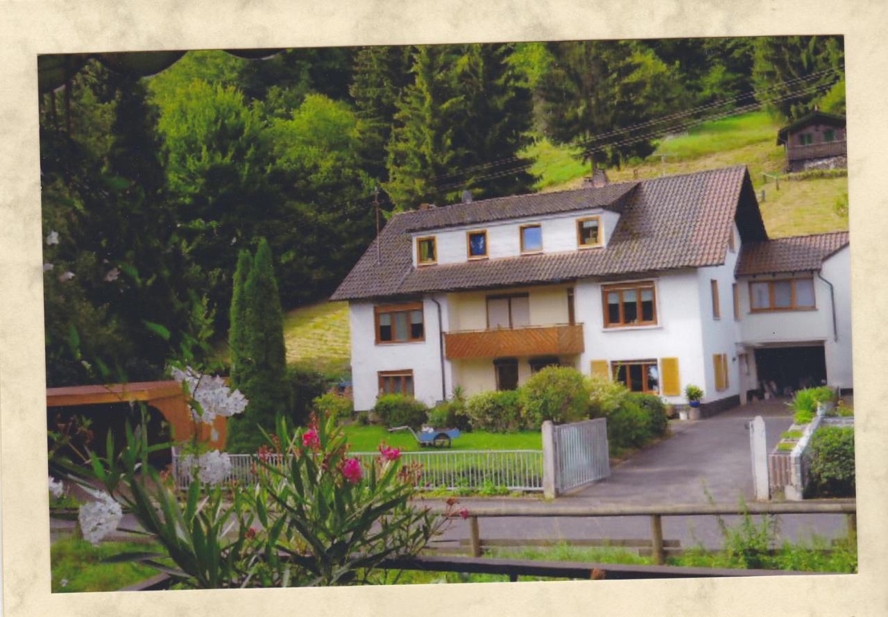 Komfortable Apartments Steger Frammersbach Exteriér fotografie